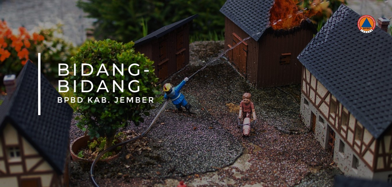 Bidang